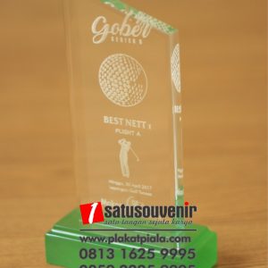 Trophy Golf Akrilik Gober Series Best Net1